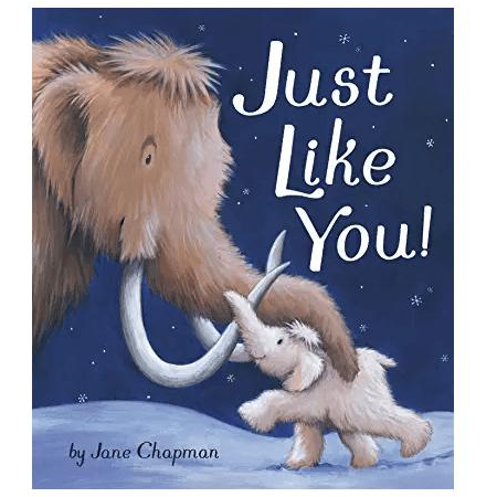 Just Like You - Zinnias Gift Boutique