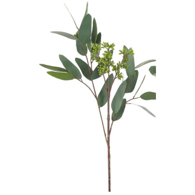 19" Eucalyptus Pick - Zinnias Gift Boutique