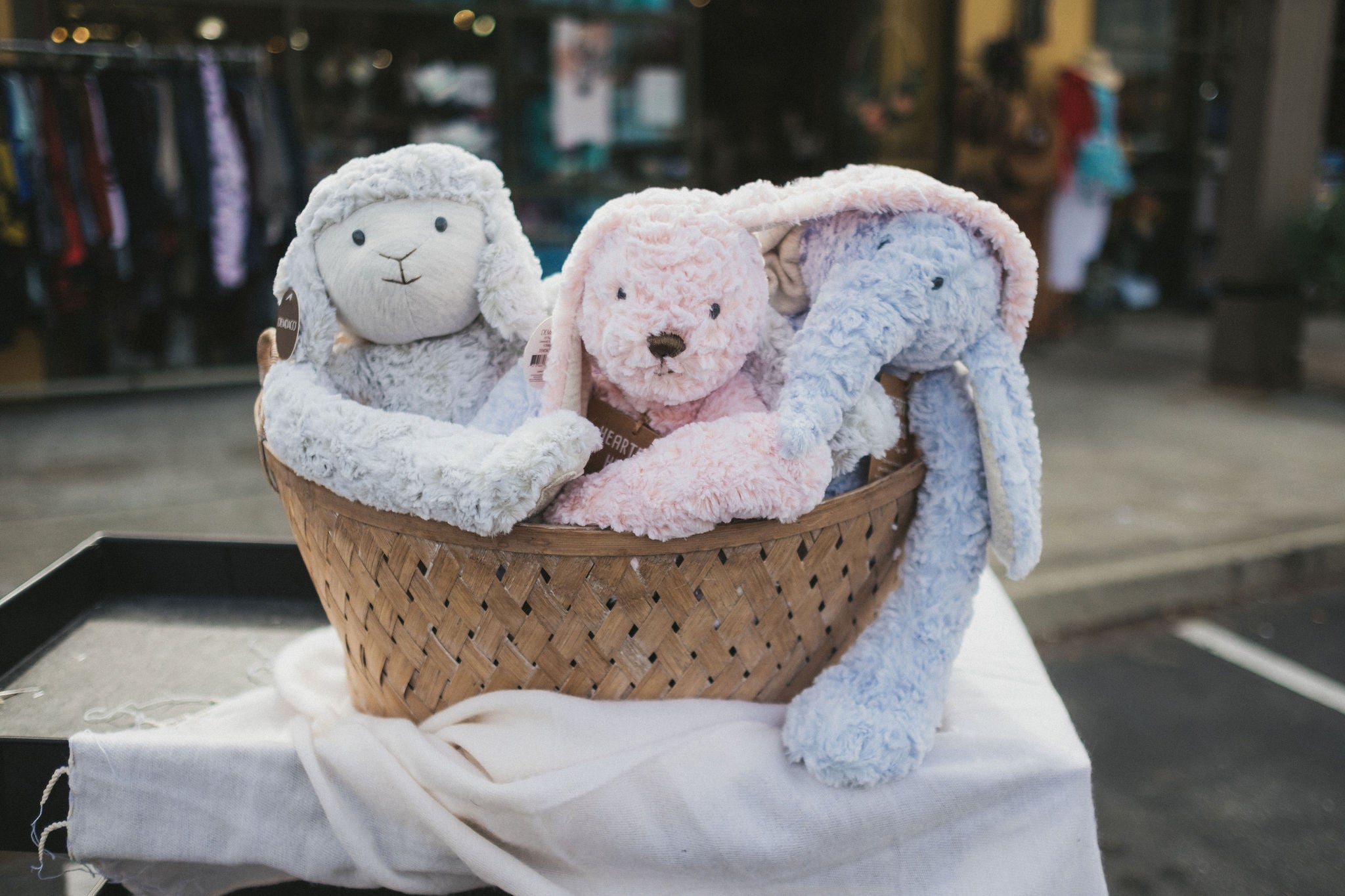 How to Clean Stuffed Animals Without a Washing Machine | Zinnias