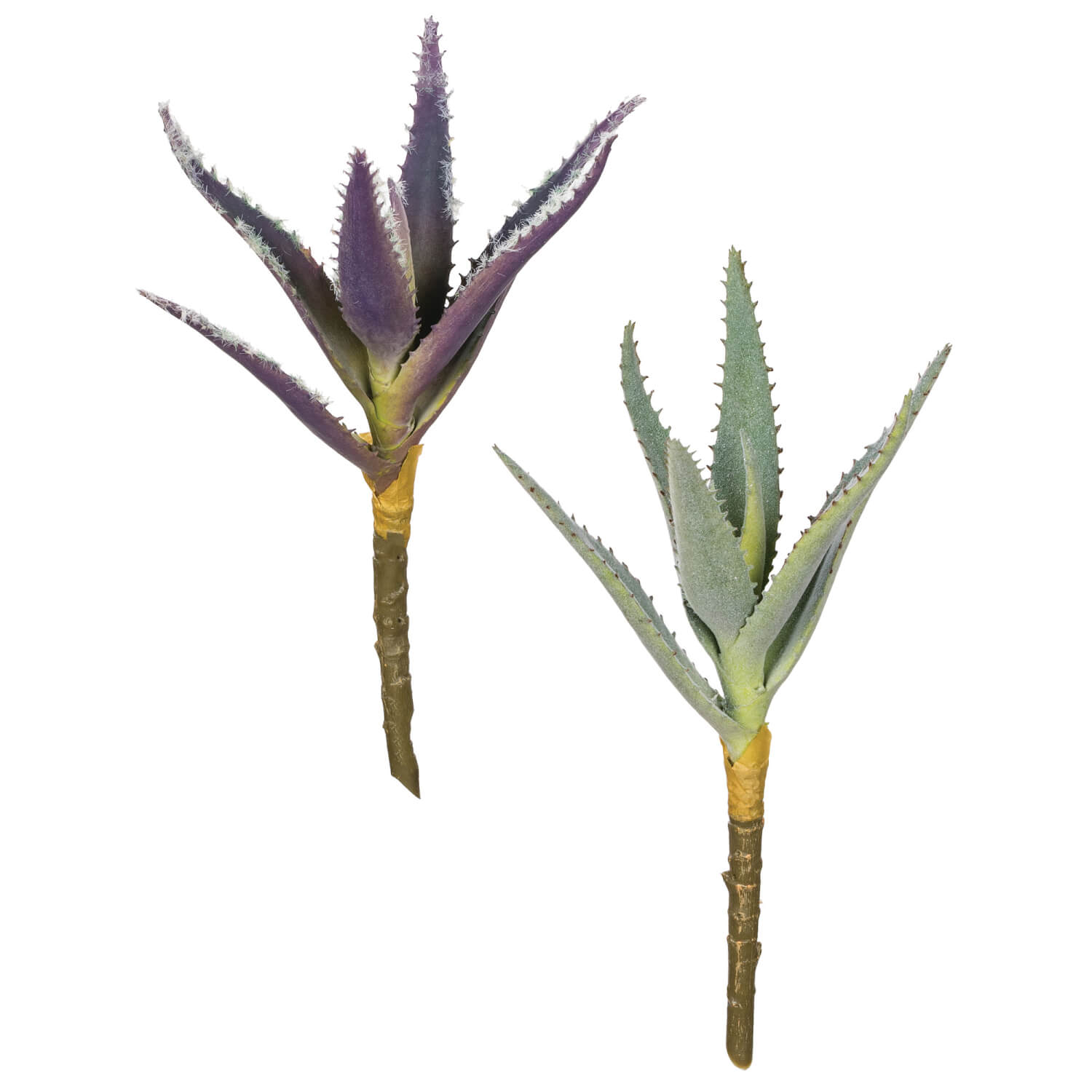 ALOE SUCCULENT PICK - Zinnias Gift Boutique