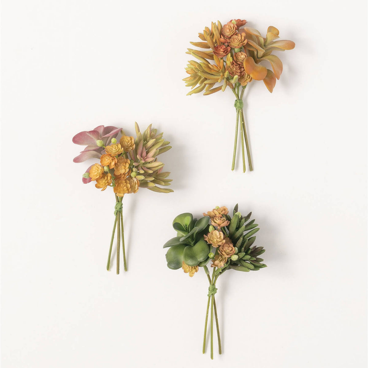 SUCCULENT BOUQUET - Zinnias Gift Boutique