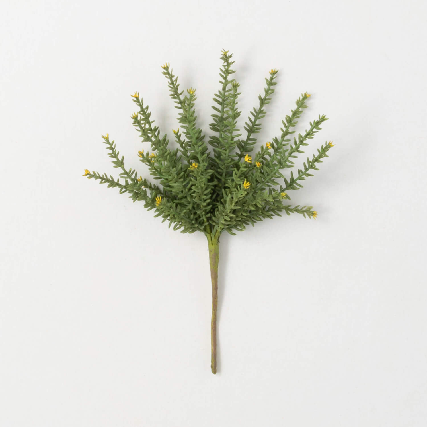 YELLOW-TIPPED SUCCULENT BUSH - Zinnias Gift Boutique