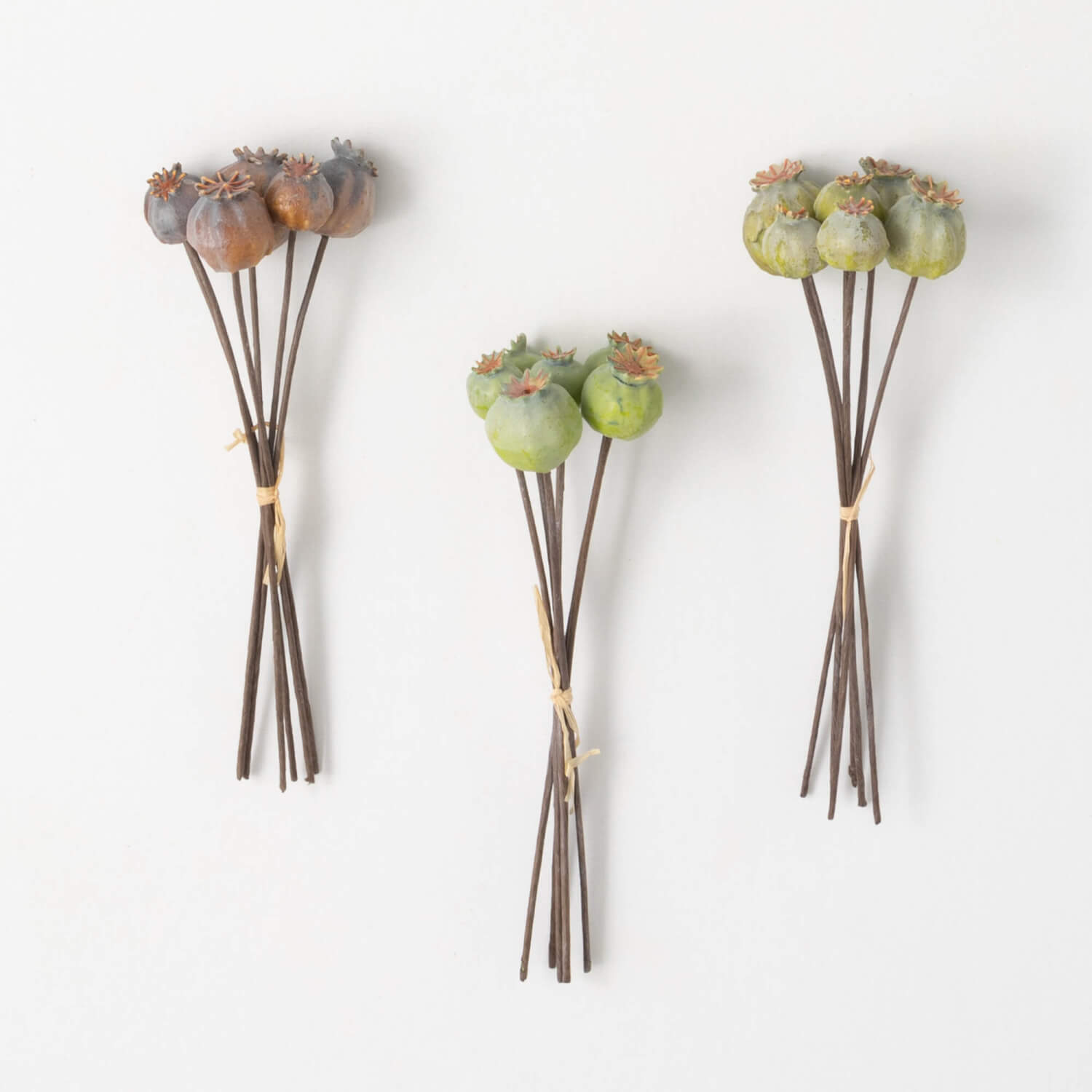 Dusty-Hued Pod - Zinnias Gift Boutique