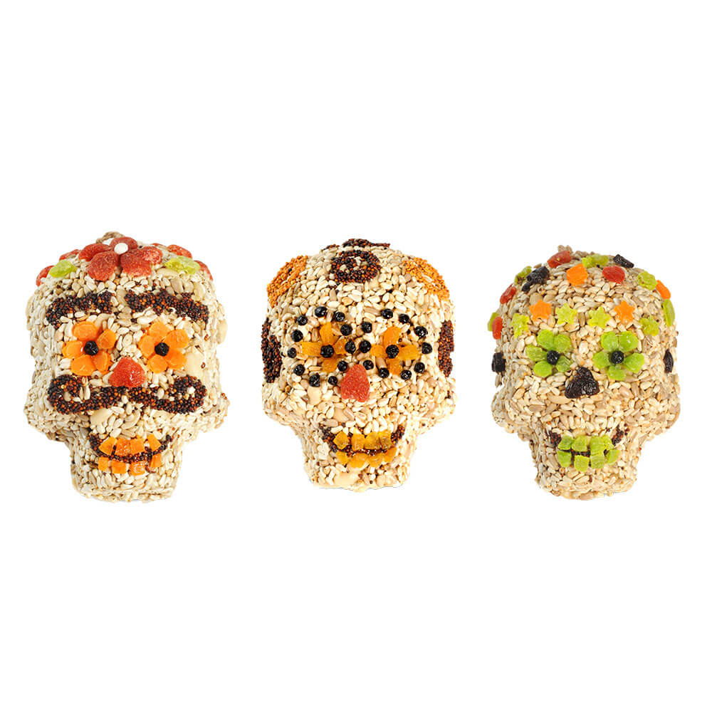 Seed Skulls - Zinnias Gift Boutique