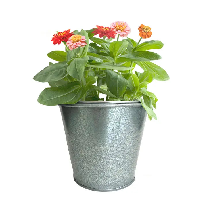 Kids Garden in a Pail | Butterfly - Zinnias Gift Boutique