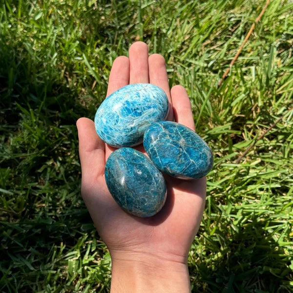 Palm Stone - Zinnias Gift Boutique