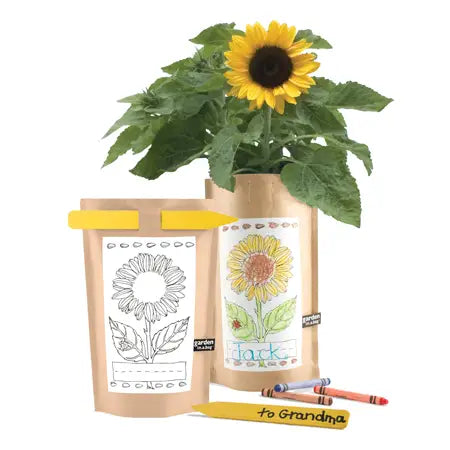 Kids Garden in a Bag | Mini Sunflower - Zinnias Gift Boutique