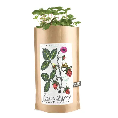 Kids Garden in a Bag | Strawberry - Zinnias Gift Boutique