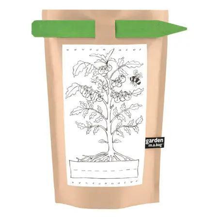 Kids Garden in a Bag | Tomato - Zinnias Gift Boutique