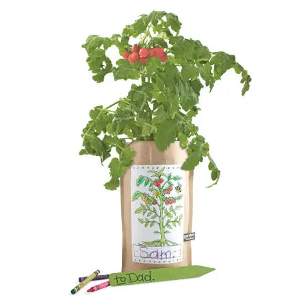 Kids Garden in a Bag | Tomato - Zinnias Gift Boutique