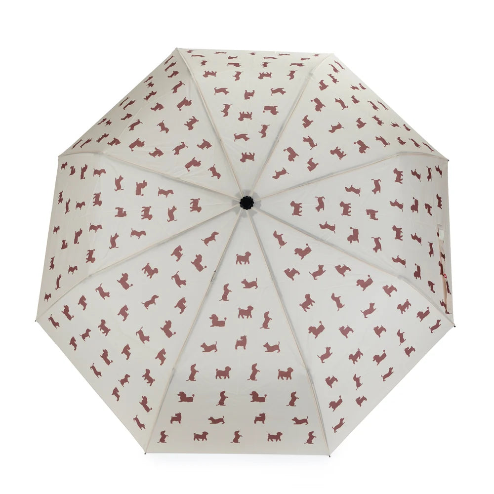 Umbrella