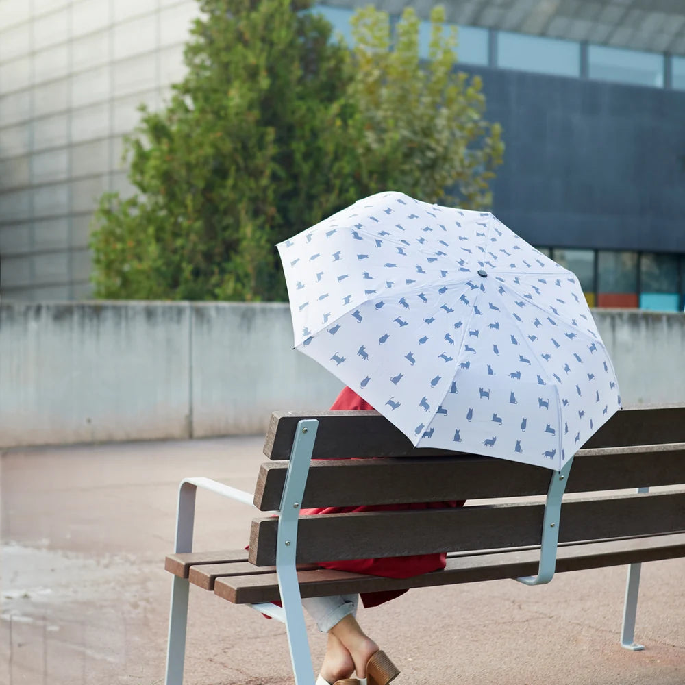 Umbrella