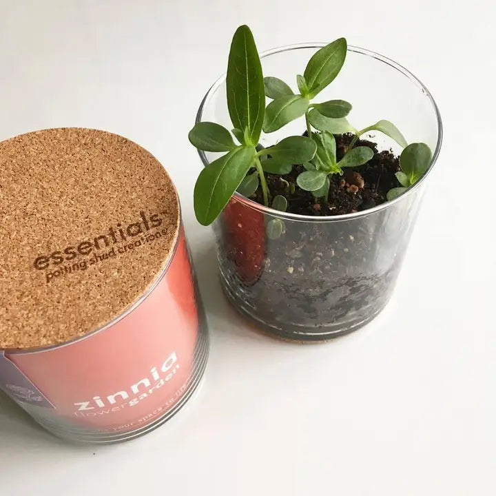 Essential | Zinnia Flower Garden - Zinnias Gift Boutique