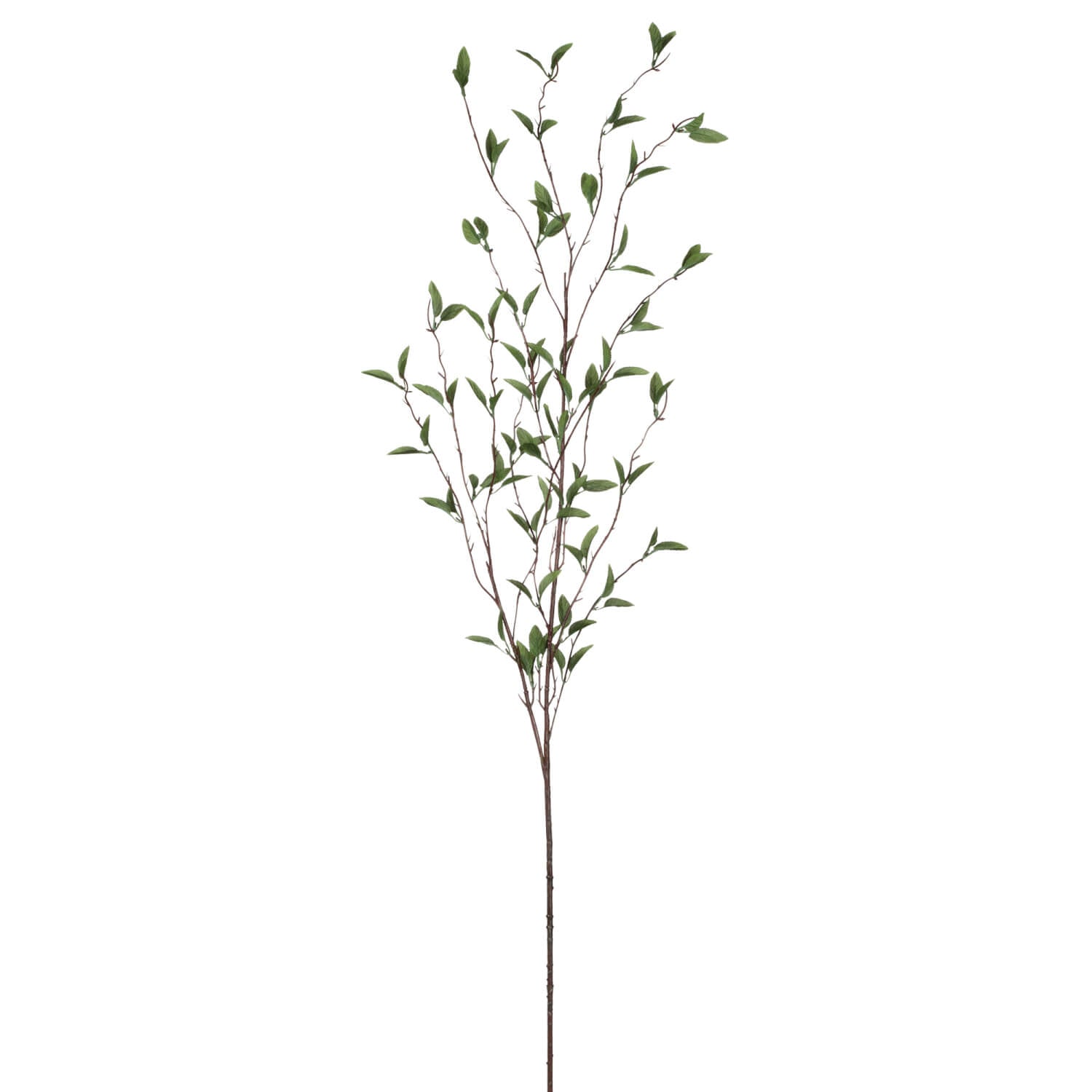 FOLIAGE BRANCH - Zinnias Gift Boutique