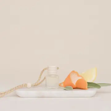 Car Diffuser - Zinnias Gift Boutique