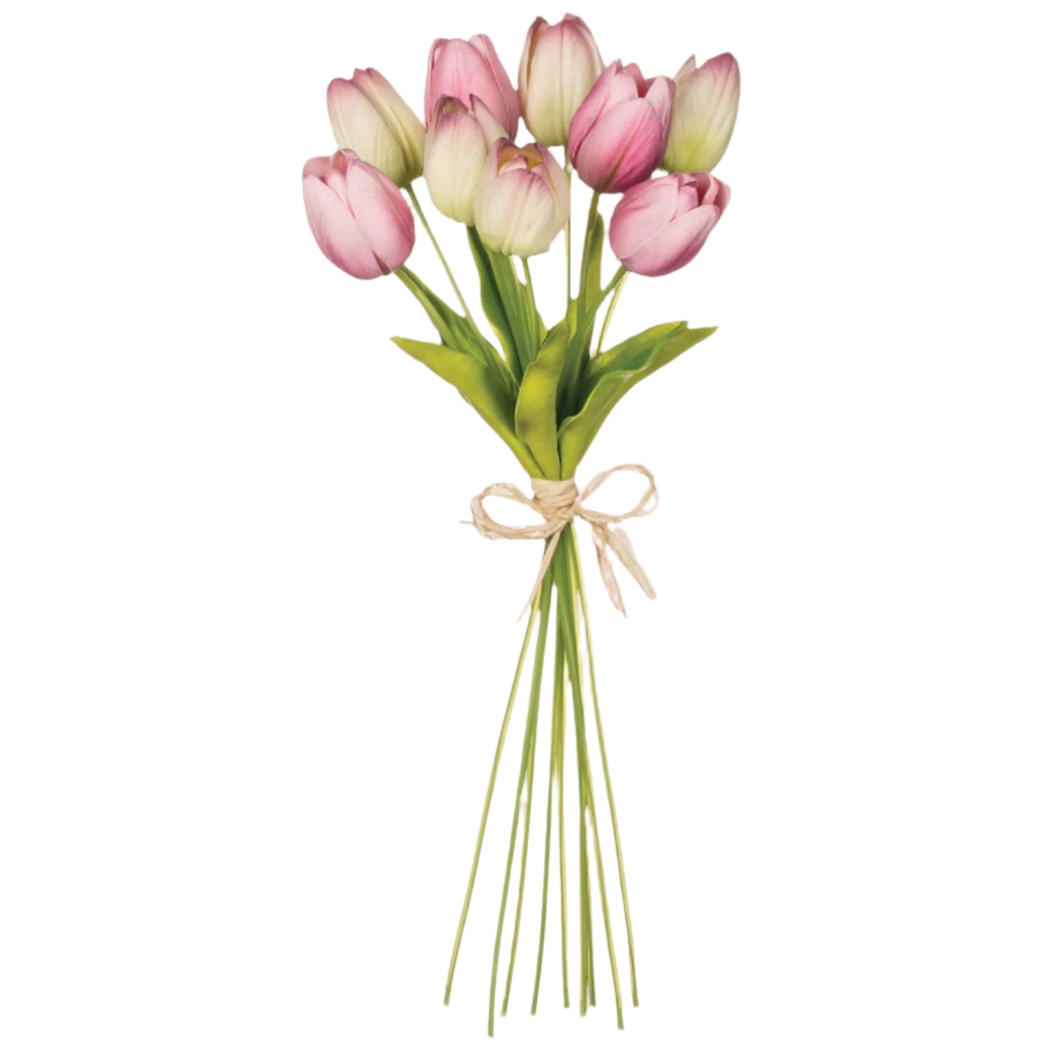 Tulip Bunch - Zinnias Gift Boutique