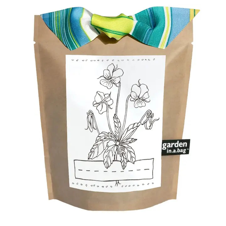 Kids Garden in a Bag | Viola - Zinnias Gift Boutique