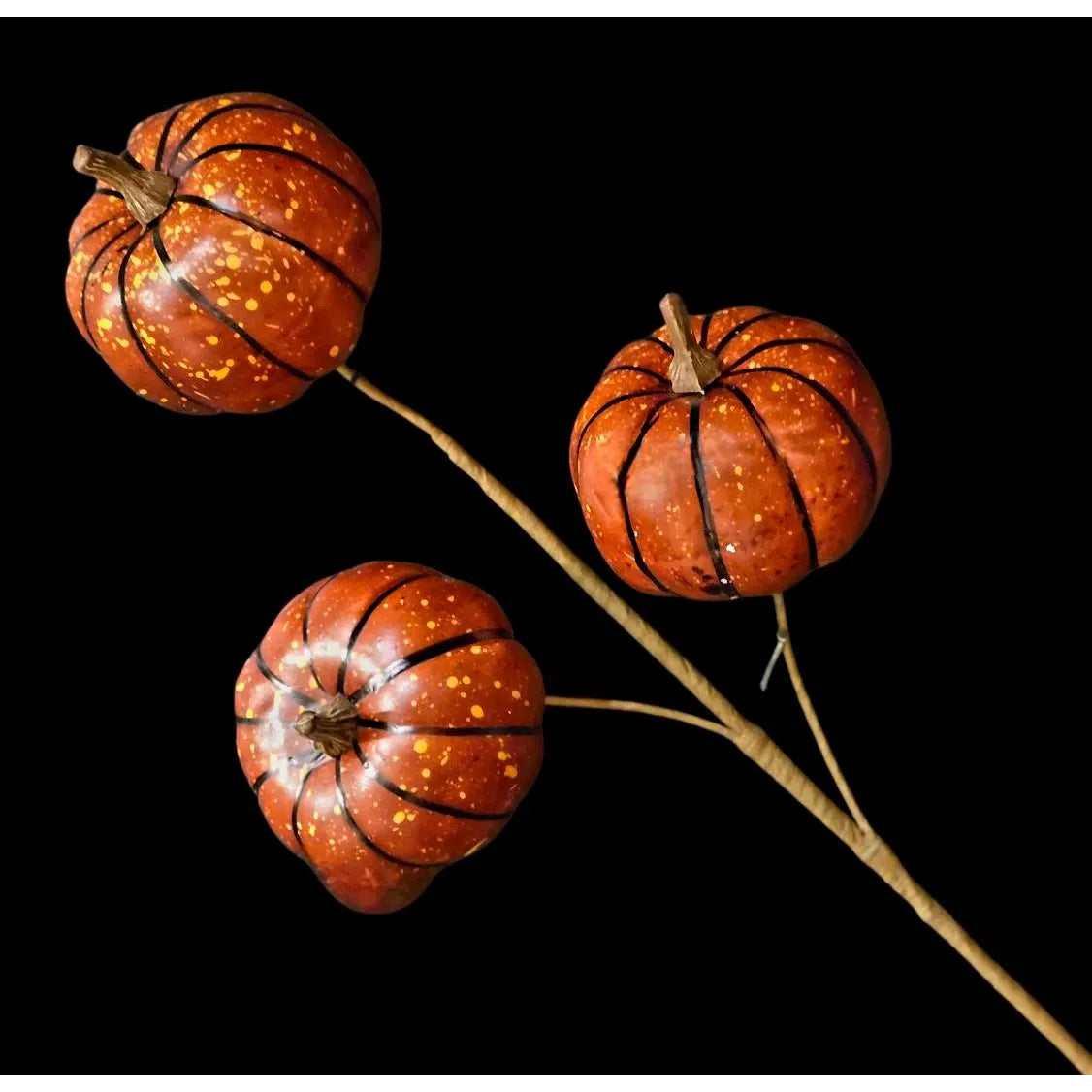 Orange Pumpkin Stem - Zinnias Gift Boutique