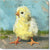 Chick Giclee Wall - Zinnias Gift Boutique