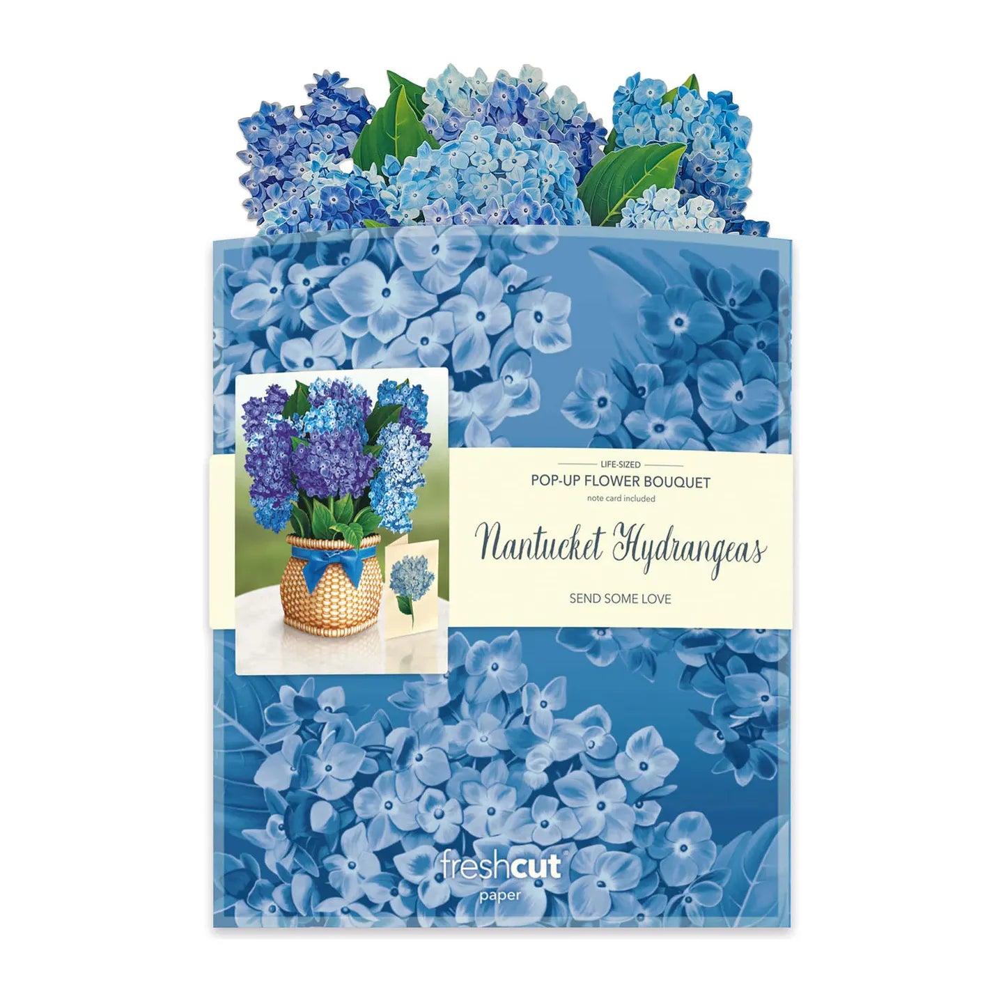 Nantucket Hydrangeas - Zinnias Gift Boutique