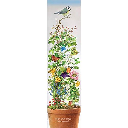 In the Garden Board book – Lift the flap - Zinnias Gift Boutique