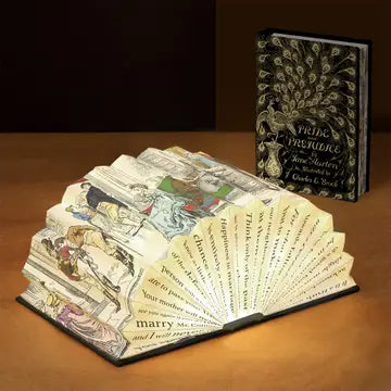 Modgy Light Book