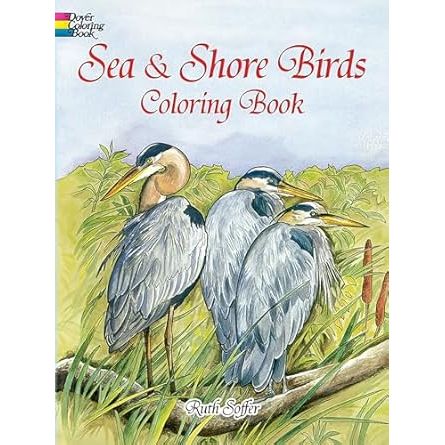Sea and Shore Birds Coloring Book - Zinnias Gift Boutique