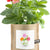 Garden in a Bag | Mom - Zinnias Gift Boutique