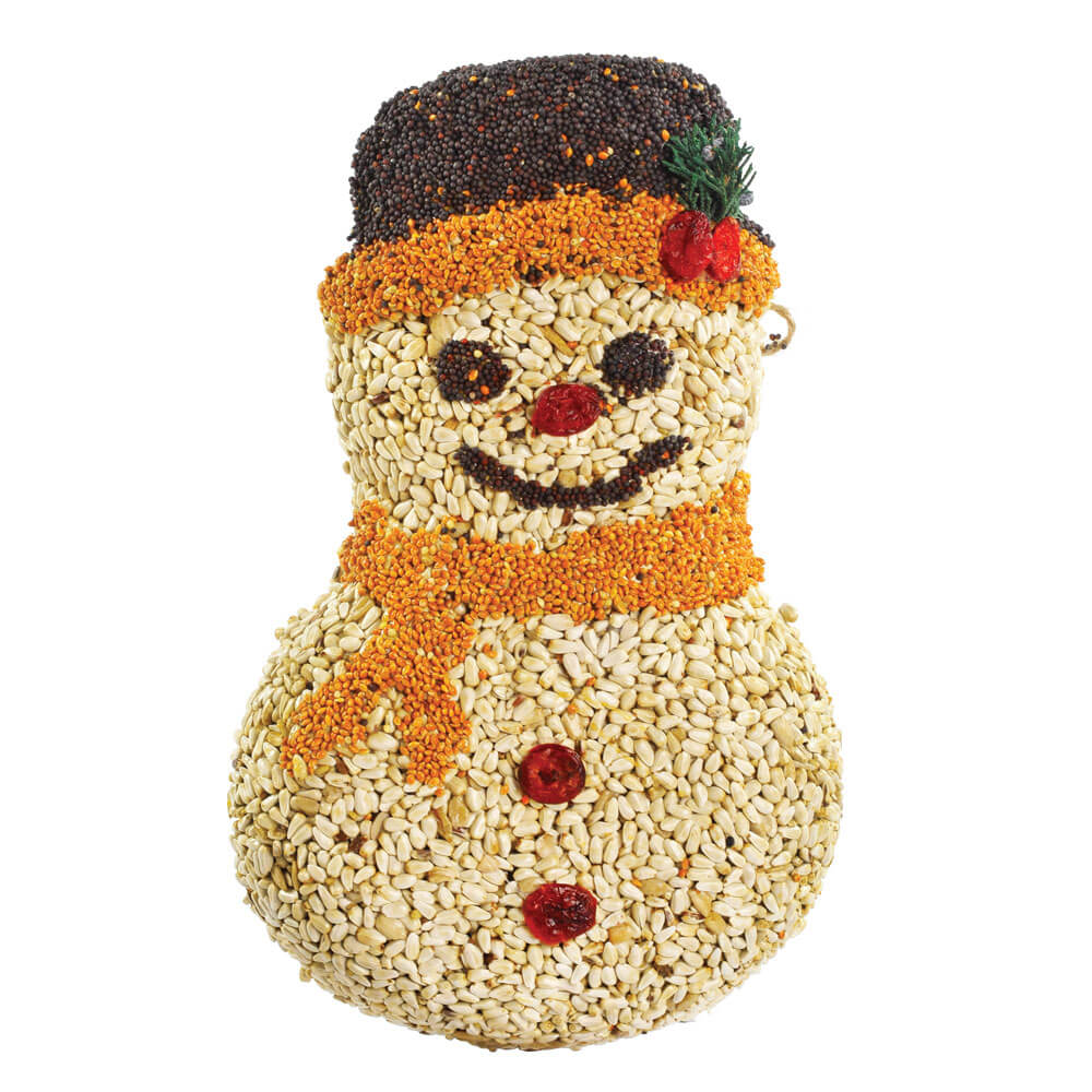 Frosty Snowman - Zinnias Gift Boutique