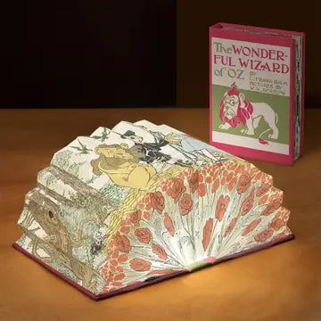 Modgy Light Book