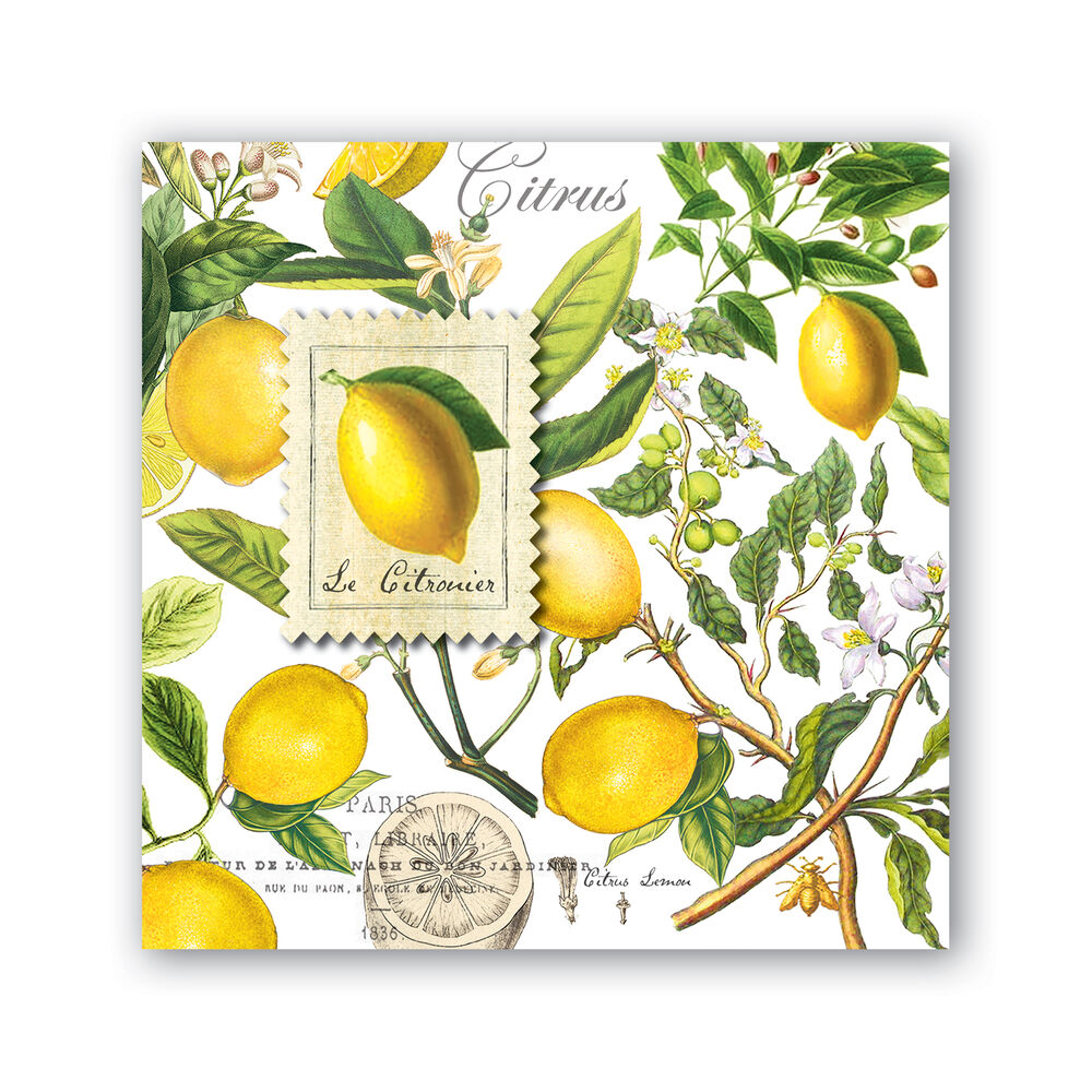 Lemon Basil Napkin - Zinnias Gift Boutique