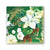 MDW Winter Blooms Cocktail Napkin - Zinnias Gift Boutique