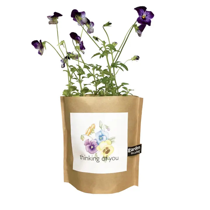 Garden in a Bag | Thinking Of You - Zinnias Gift Boutique
