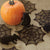 Halloween Spider Web 6 in Doily Black