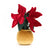 Amuseables Poinsettia - Zinnias Gift Boutique