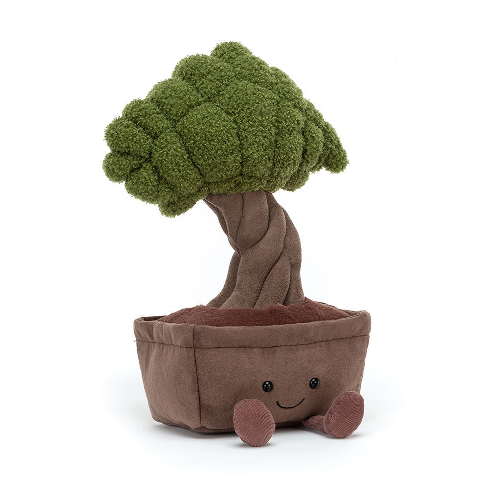 Amuseable  Bonsai Tree - Zinnias Gift Boutique