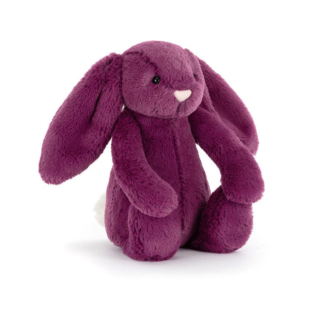 Bashful Allium Bunny Little - Zinnias Gift Boutique