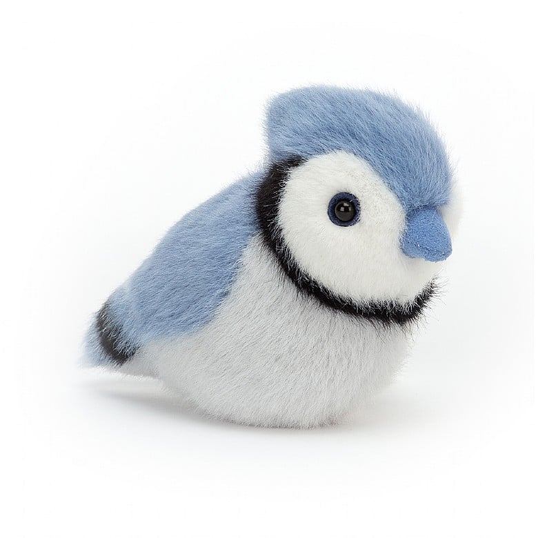 Birdling Blue Jay - Zinnias Gift Boutique
