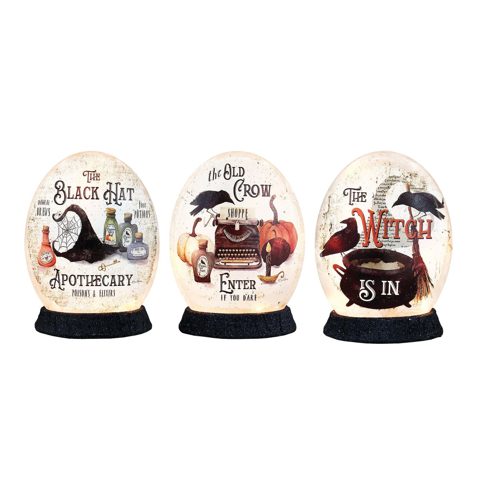 Hocus Pocus prelit light - Zinnias Gift Boutique