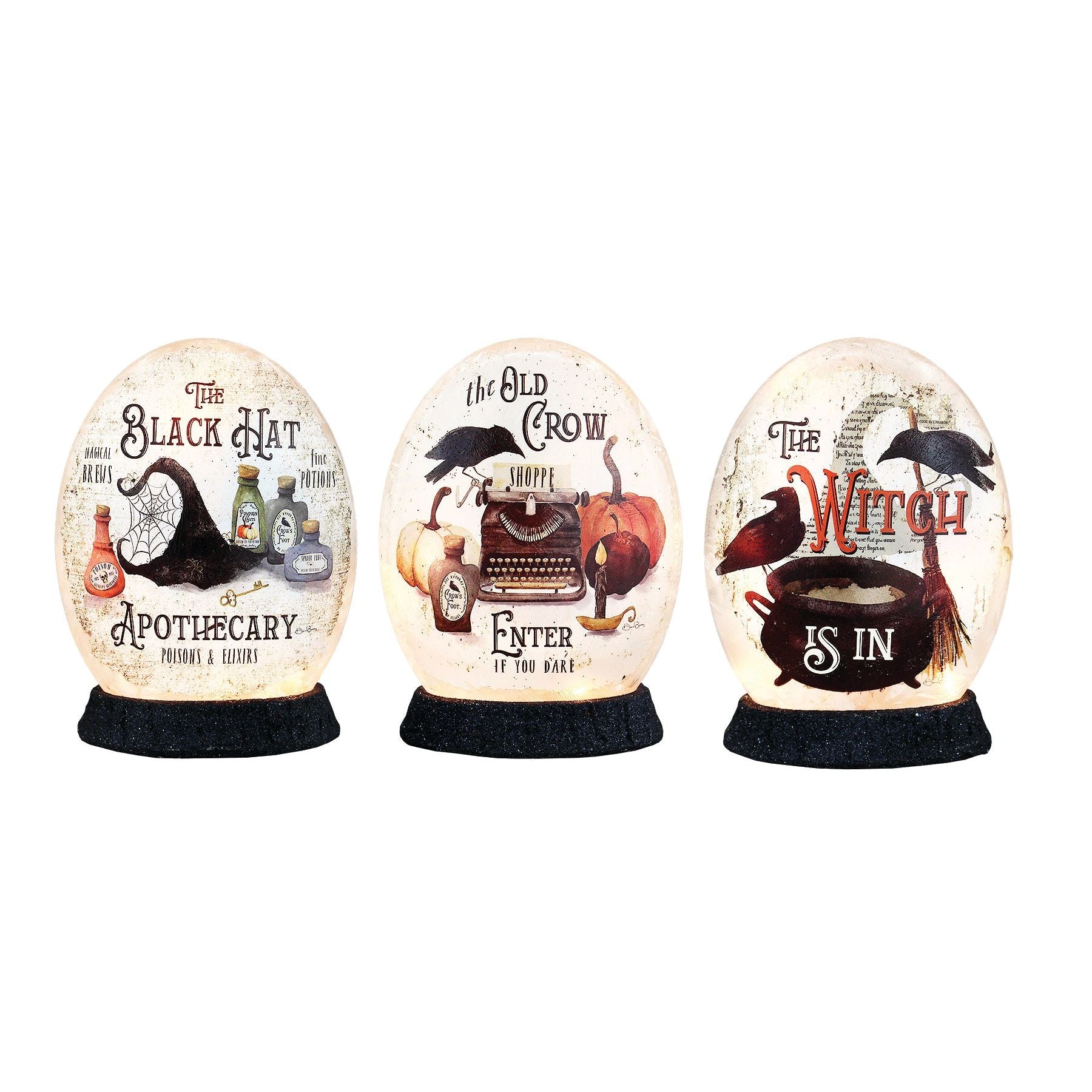 Hocus Pocus prelit light - Zinnias Gift Boutique