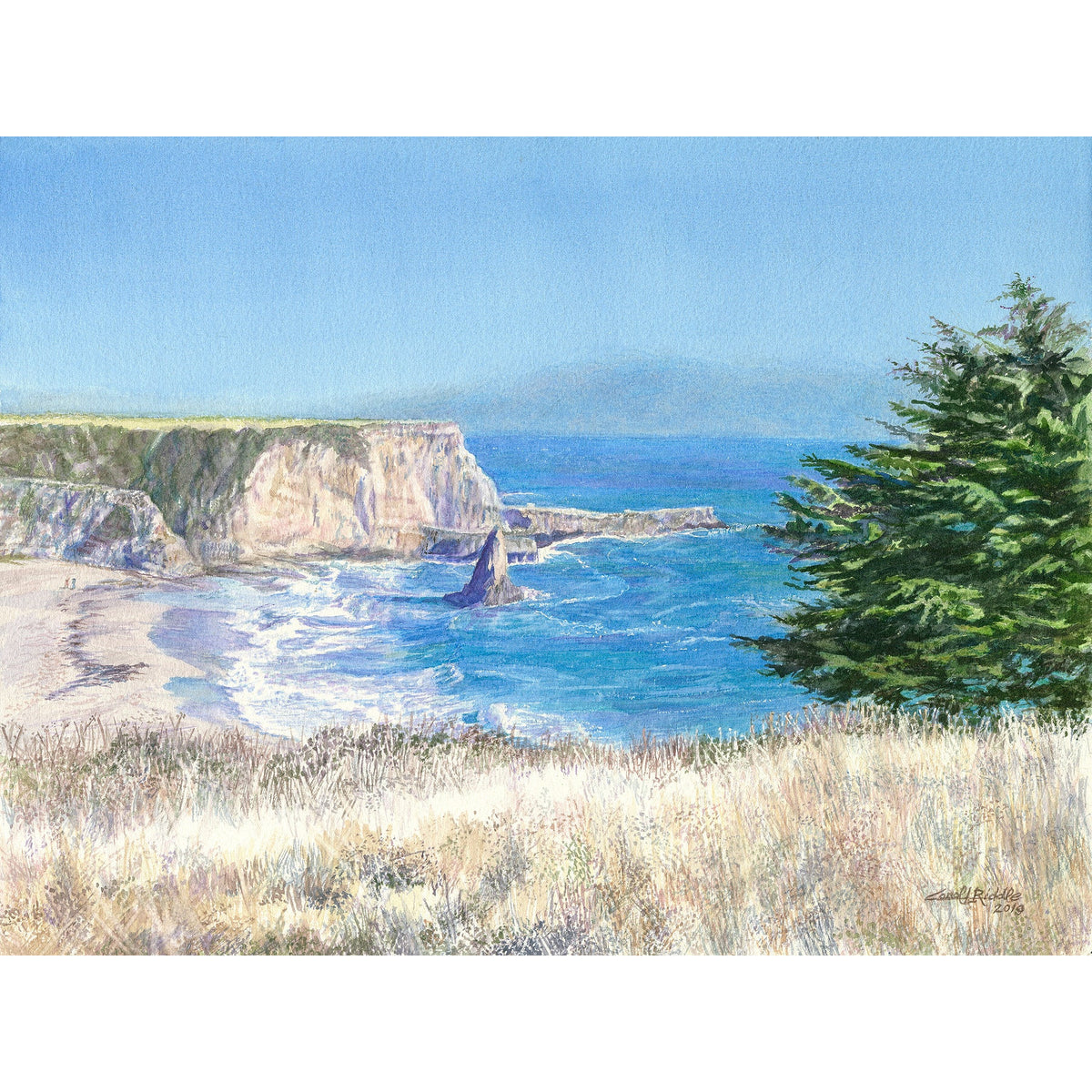 Shark Fin Cove - Zinnias Gift Boutique