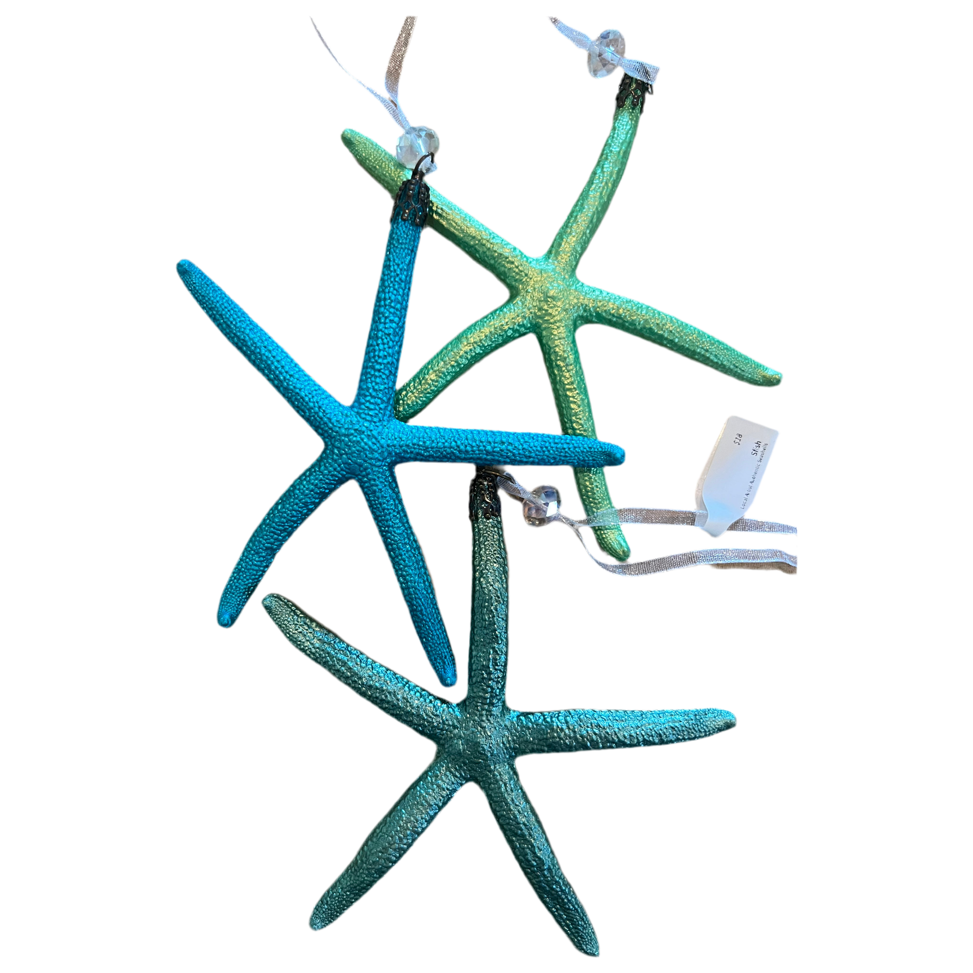 Local Artist Authentic starfish ornament - Zinnias Gift Boutique
