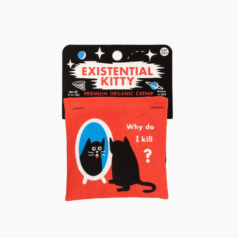 Existential Kitty Catnip Toy - Zinnias Gift Boutique