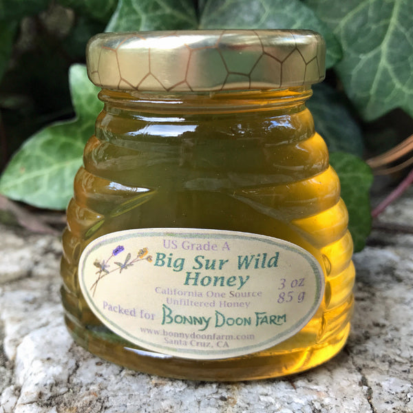 Big Sur Wild Honey - Zinnias Gift Boutique