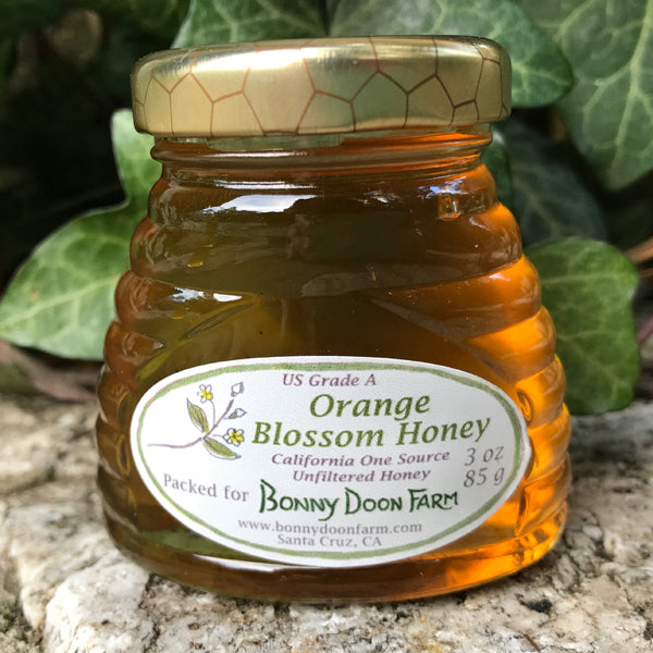 Orange Blossom Honey - Zinnias Gift Boutique