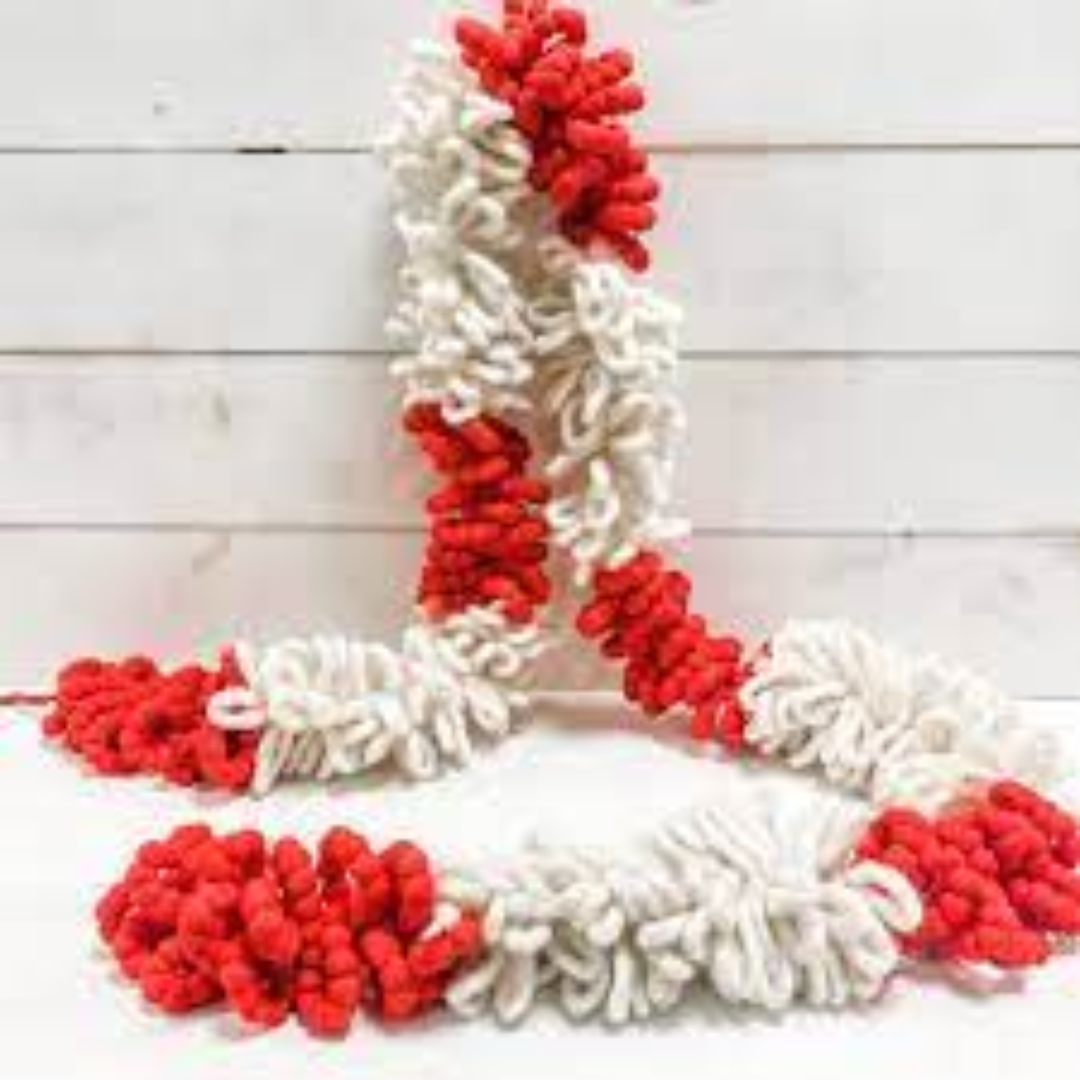 Pom pom Chunky Yarn Garland - Zinnias Gift Boutique