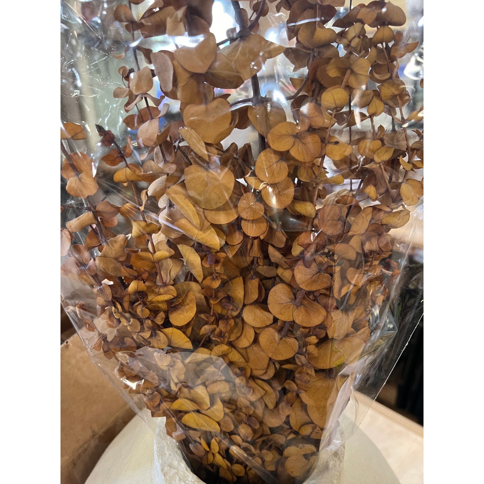 Preserved Amber Eucalyptus - Zinnias Gift Boutique