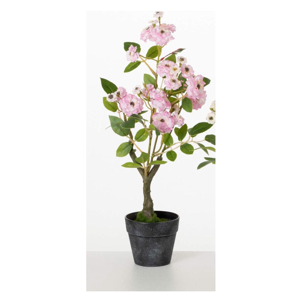 MINI ROSE BUSH - Zinnias Gift Boutique