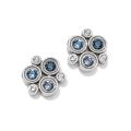 Constella Cluster Post Earring