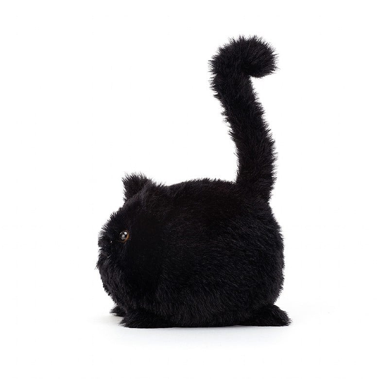 Kitten Caboodle Black - Zinnias Gift Boutique